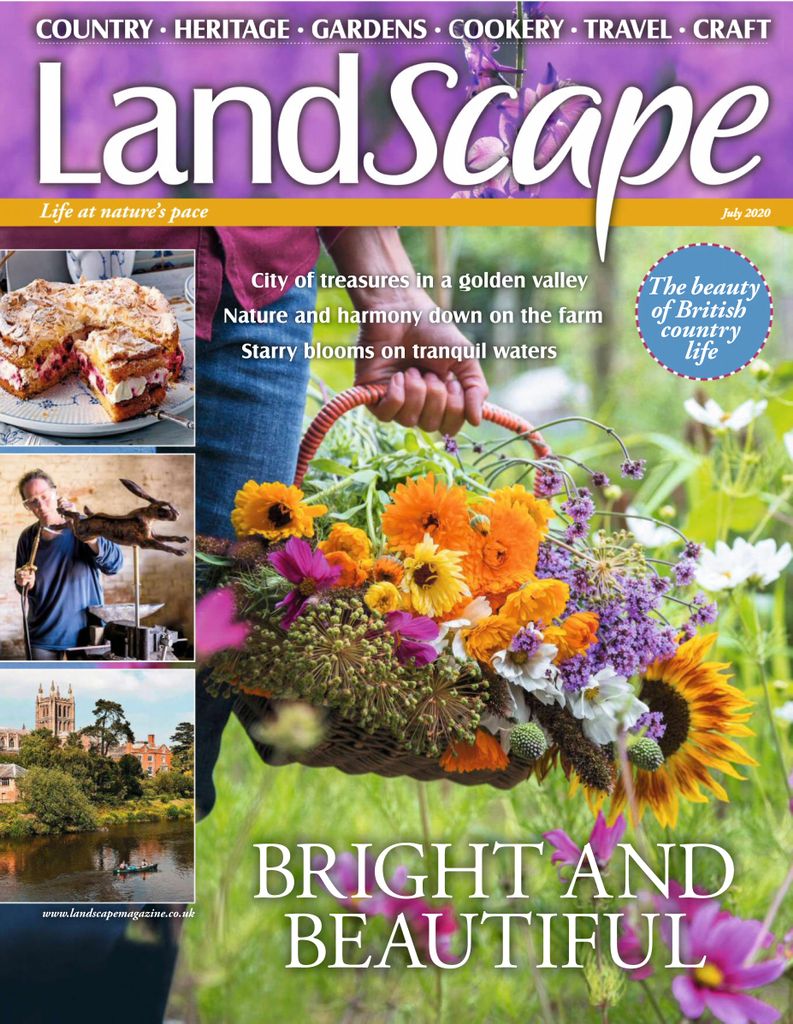 Image:landscape-sample-cover