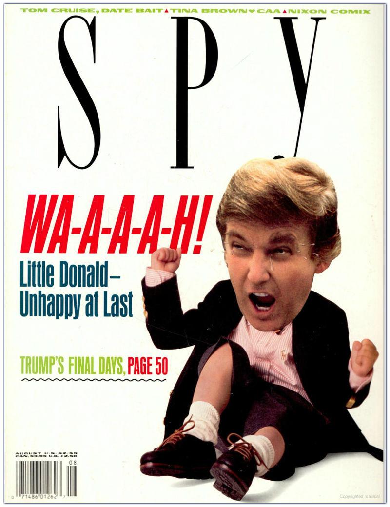 Image:spy-sample-cover