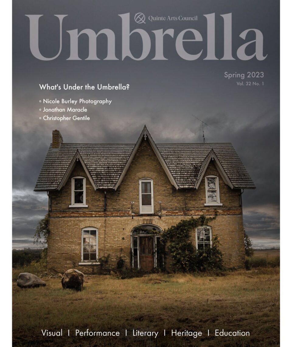 Image:umbrella-sample-cover